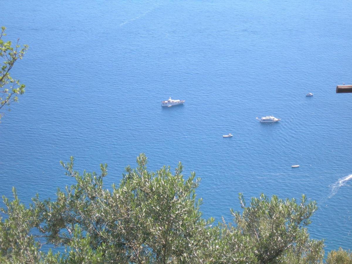 Fattoria La Tagliata Bed & Breakfast Positano Ngoại thất bức ảnh